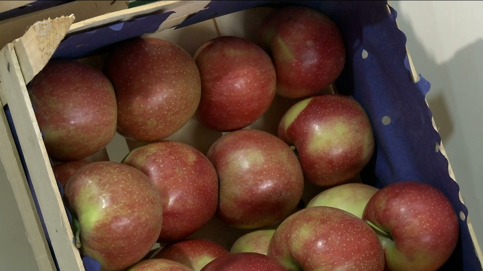 Prijevoznici ne žele u Rusiju, voće u hladnjačama, proizvođači u panici